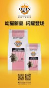 奧丁精品幼貓糧閃耀登場！??！